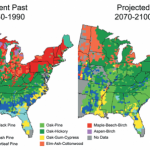 Global Climate Change Impacts 2009 Report