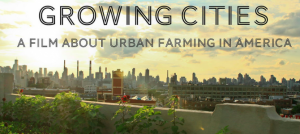 growing cities